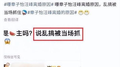 刘大锤爆料小结视频,视频爆料内容精华汇总 第2张 刘大锤爆料小结视频,视频爆料内容精华汇总 第2张